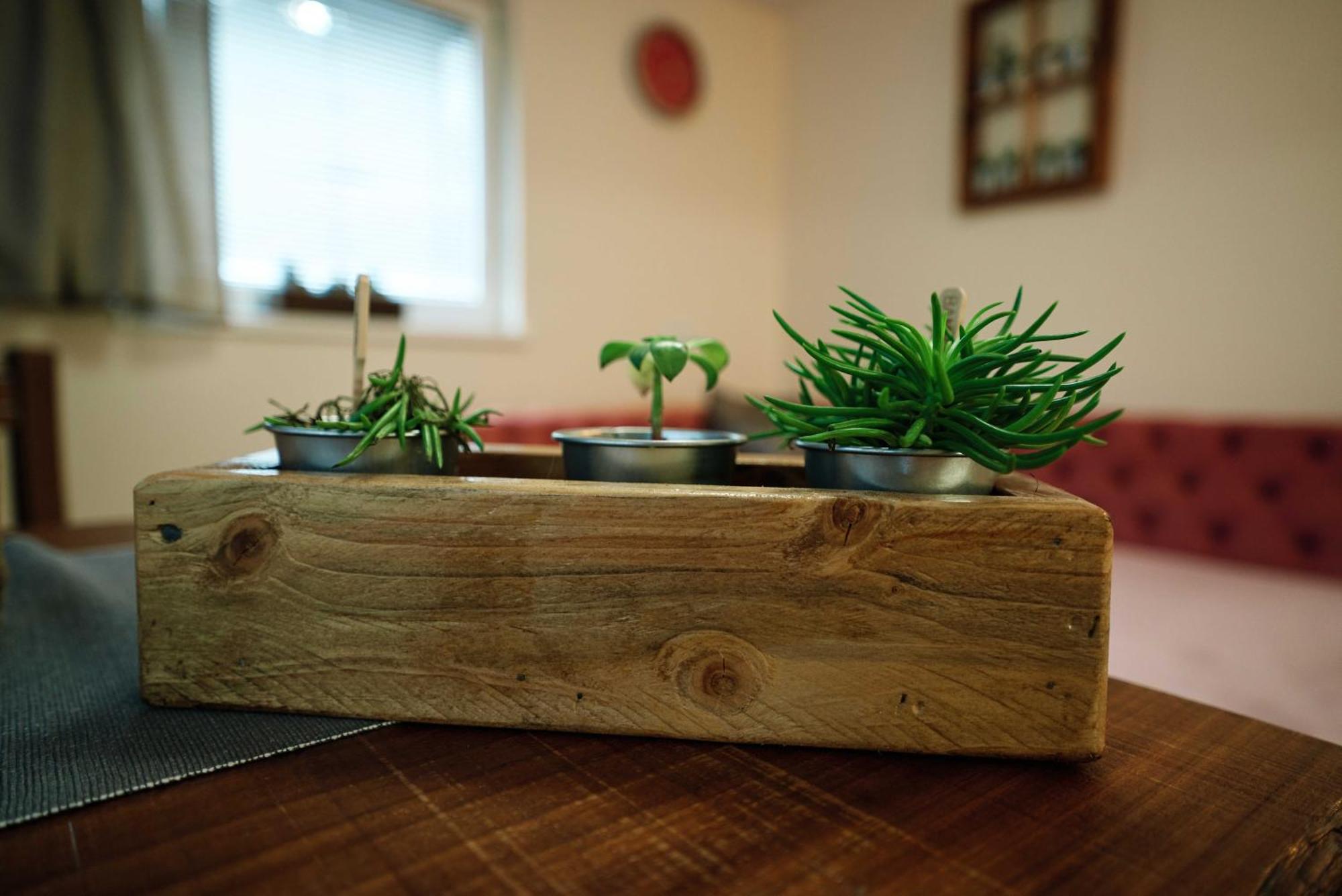 Apartment Hanny Laško Dış mekan fotoğraf